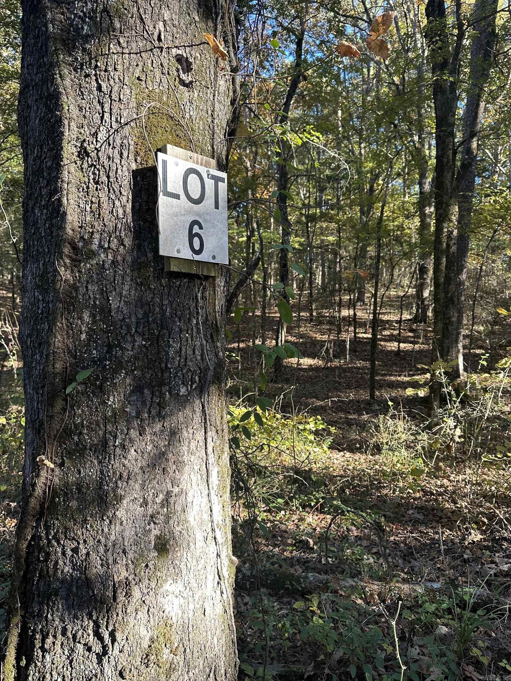 Land in Ouachita Mountains