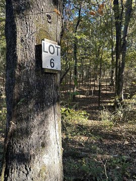 Land in Ouachita Mountains