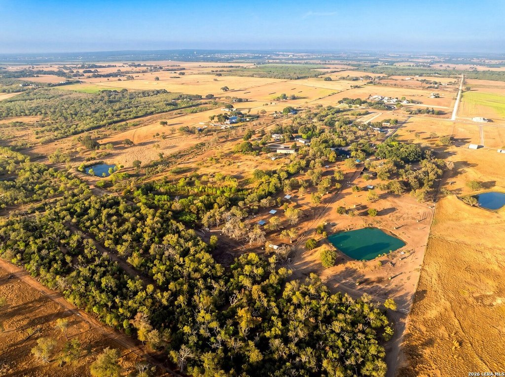 Picture 19