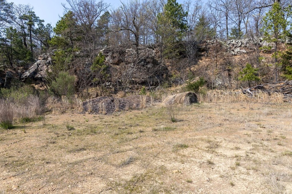 Picture 20