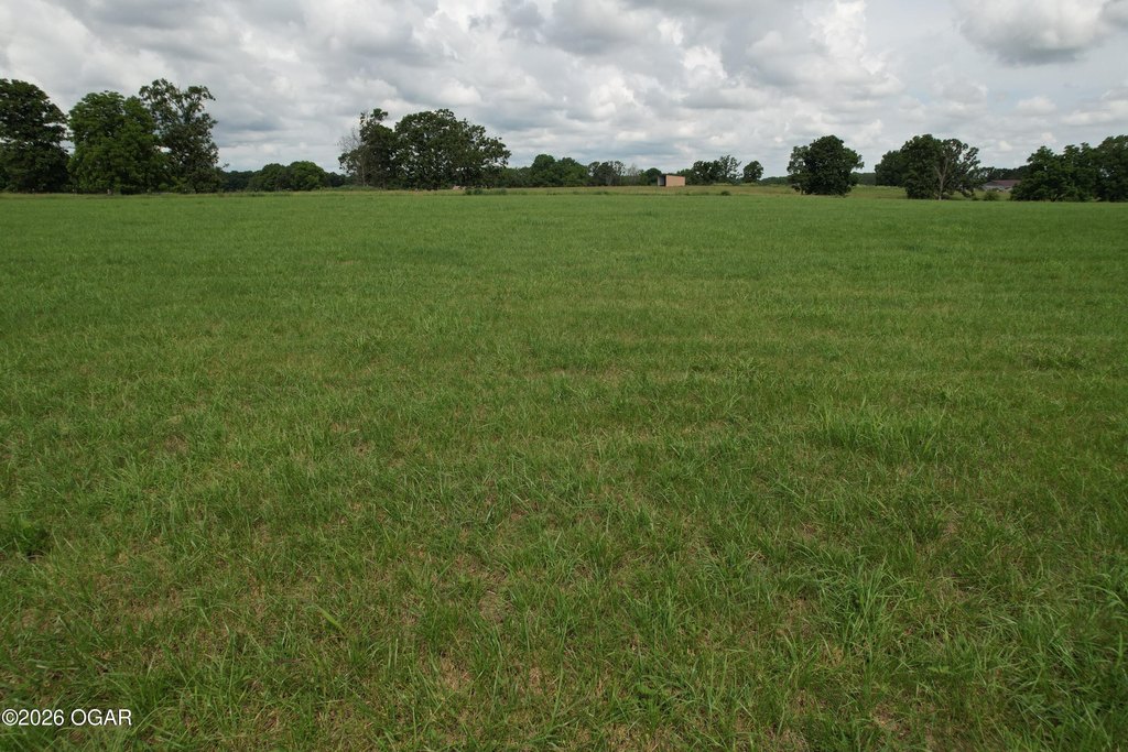 Picture 19