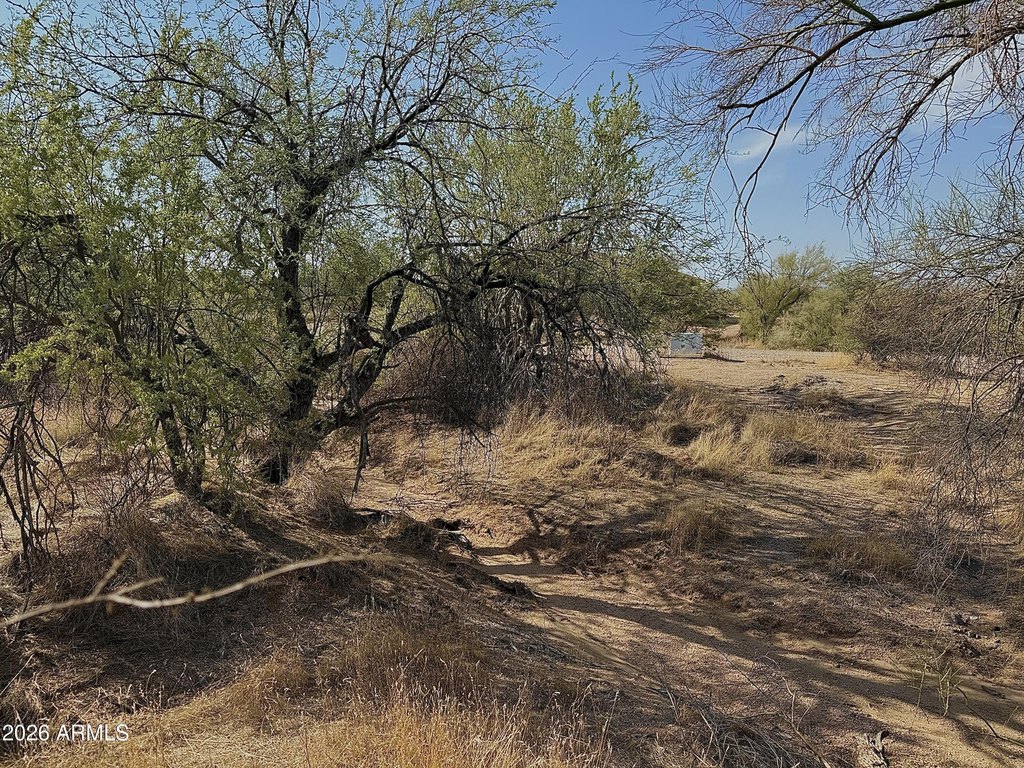 Picture 3