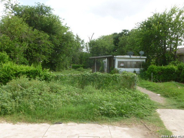 Picture 4