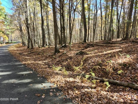 Land, Tafton, PA
