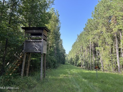 Versatile Land Near Hazlehurst, MS