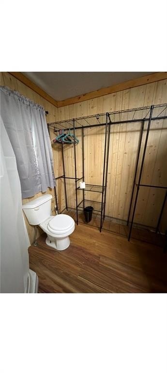 Picture 32