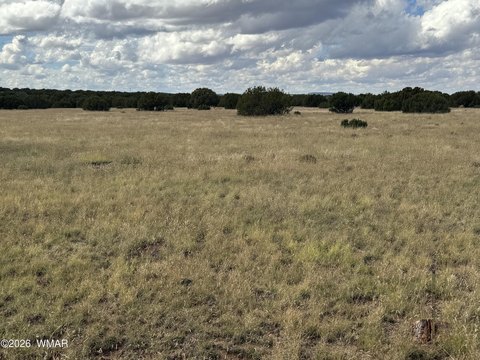 Land, Concho, AZ
