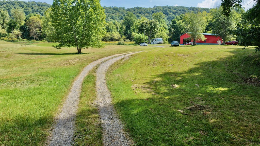 Picture 24