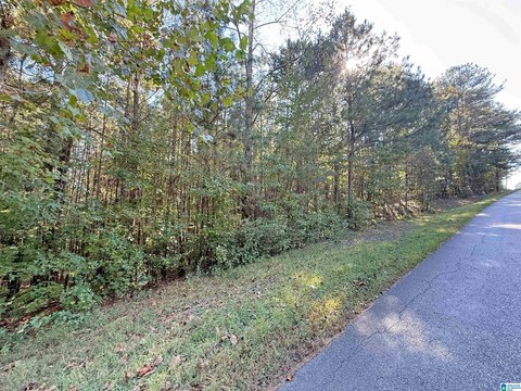 Almost One Acre Home Site