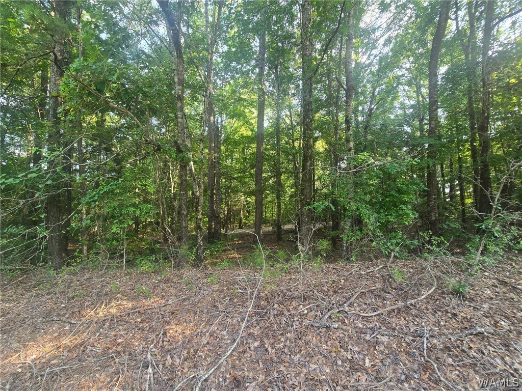 Picture 4