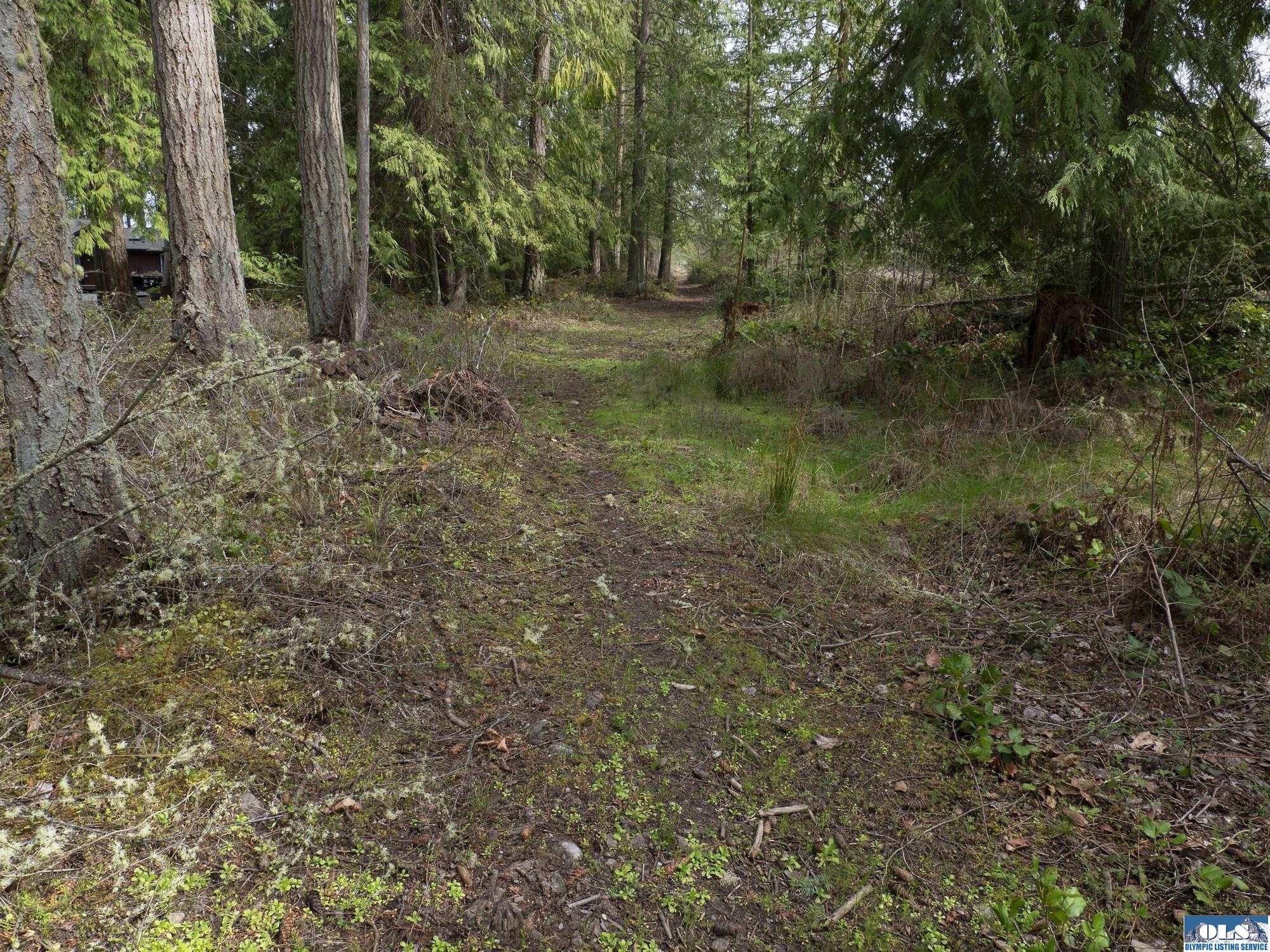 Sequim Land with Development Potential