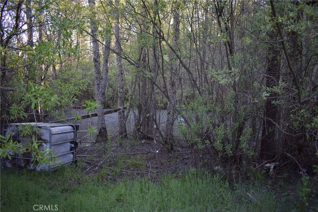 Picture 21