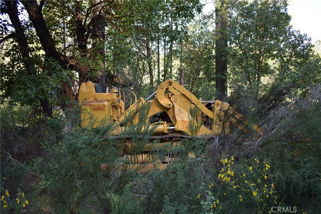 Picture 30