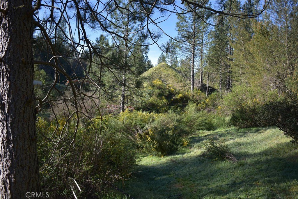 Picture 25