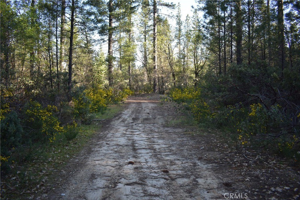 Picture 11