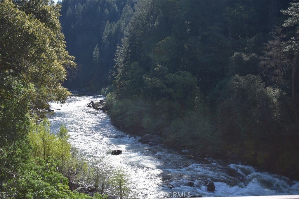 Picture 51