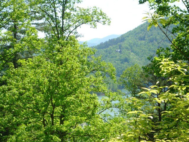 Land with Mountain and Lake Views