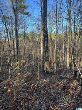 LAND - JEMISON, AL