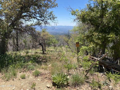 LAND - Prescott, AZ