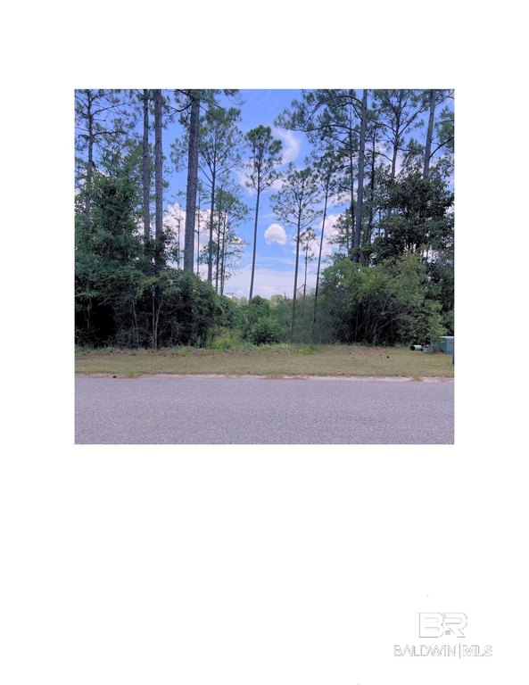 Picture 8