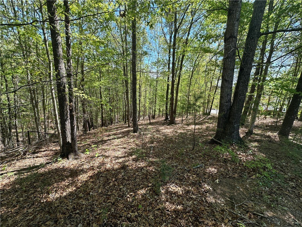 Sunset, SC Homesite in Cliffs