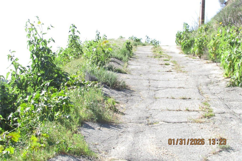 Picture 21