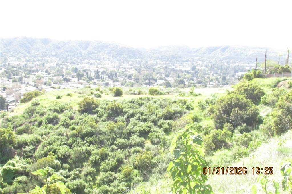 Picture 26