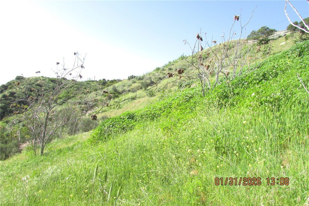 Picture 13