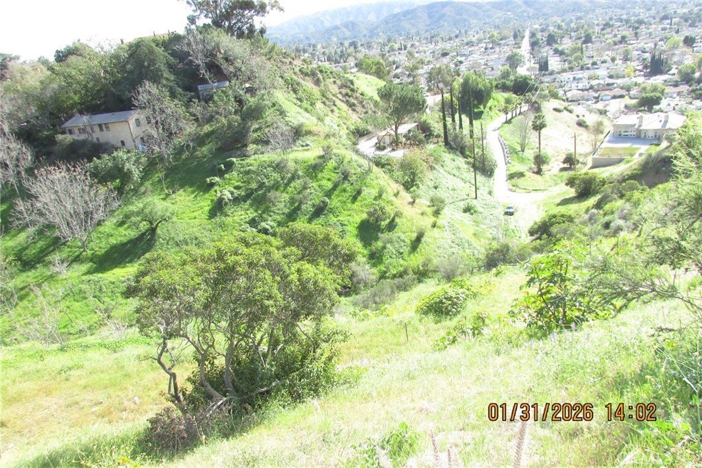 Picture 47