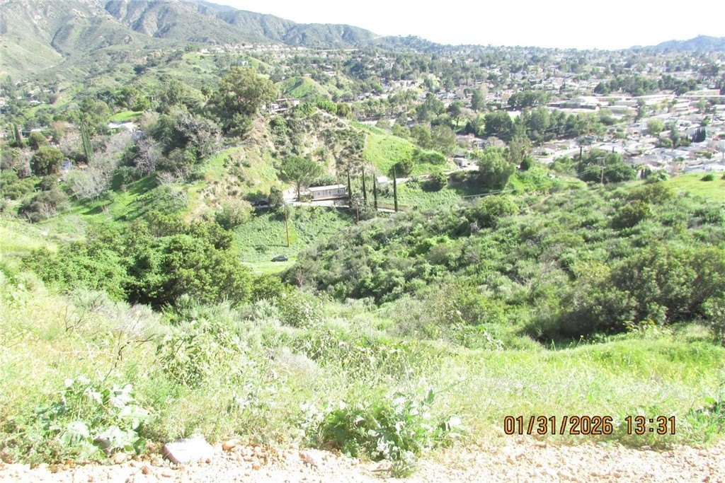 Picture 28