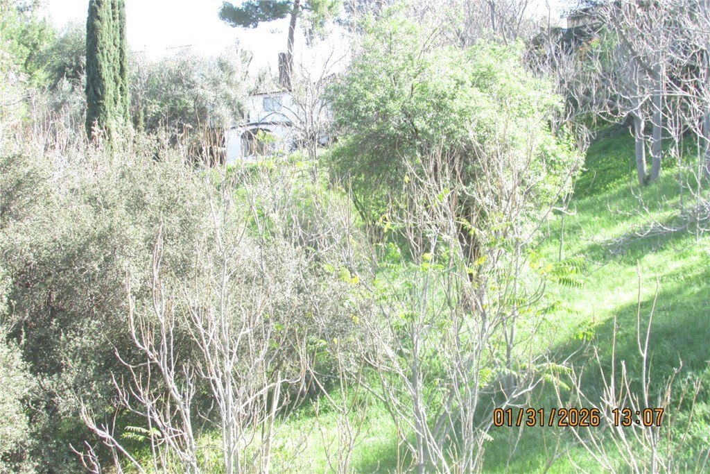 Picture 9