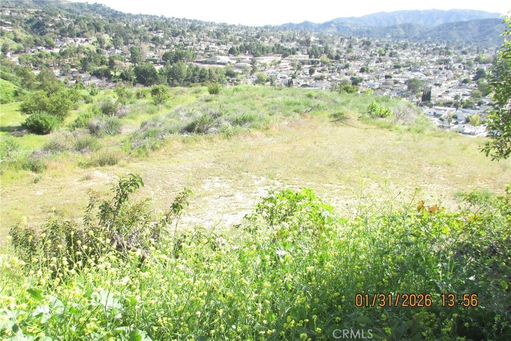 Picture 41