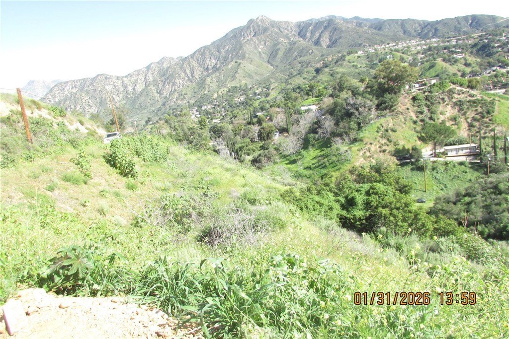 Picture 46