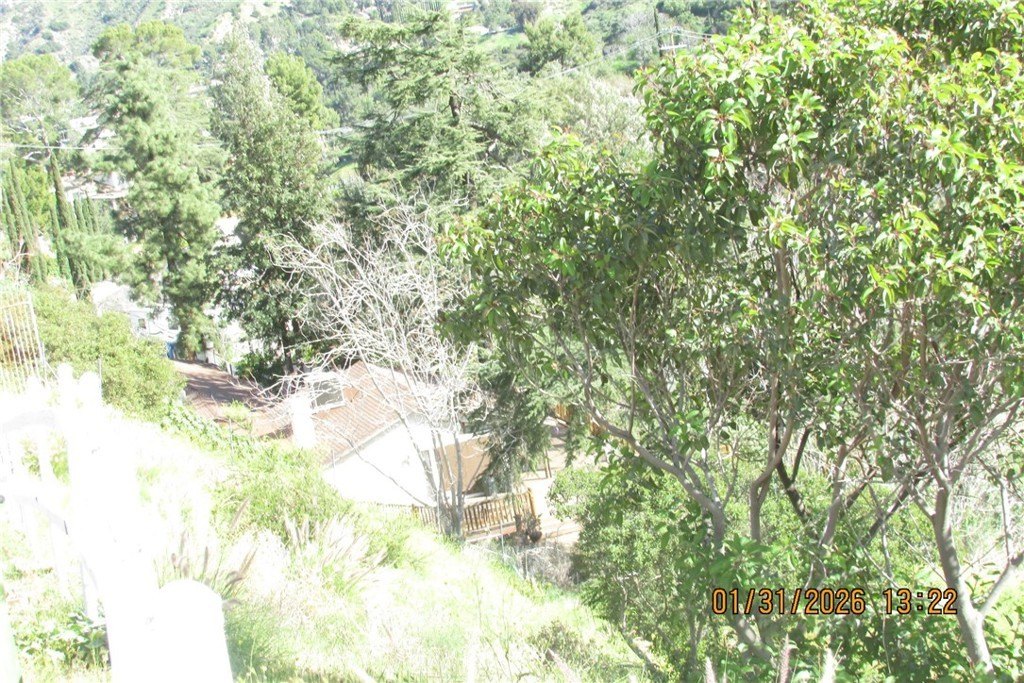 Picture 17