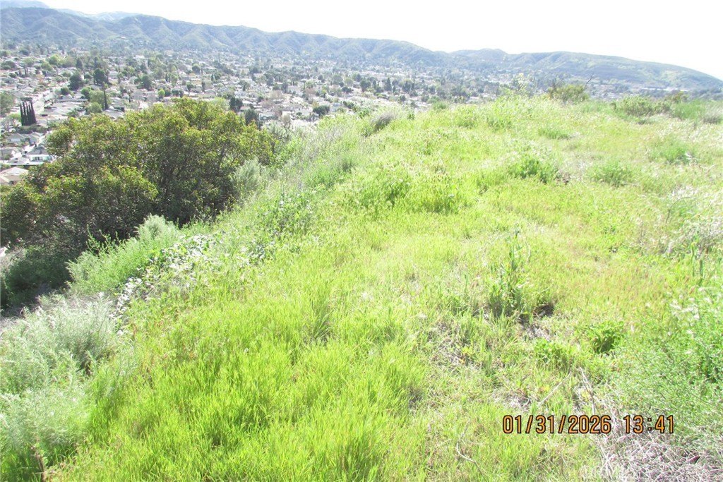 Picture 35