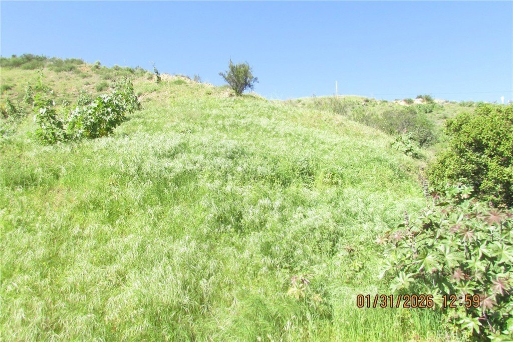 Picture 3