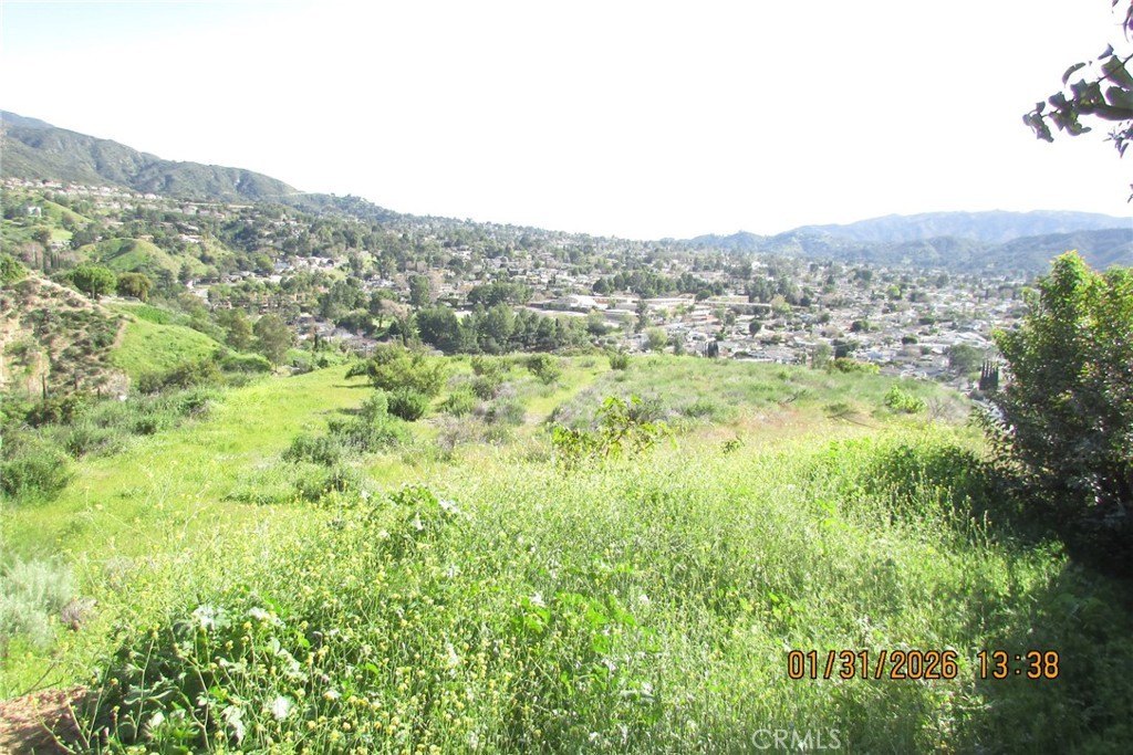 Picture 30