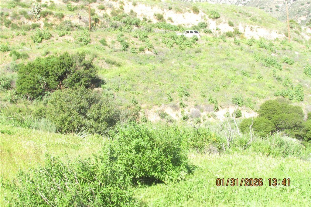 Picture 37