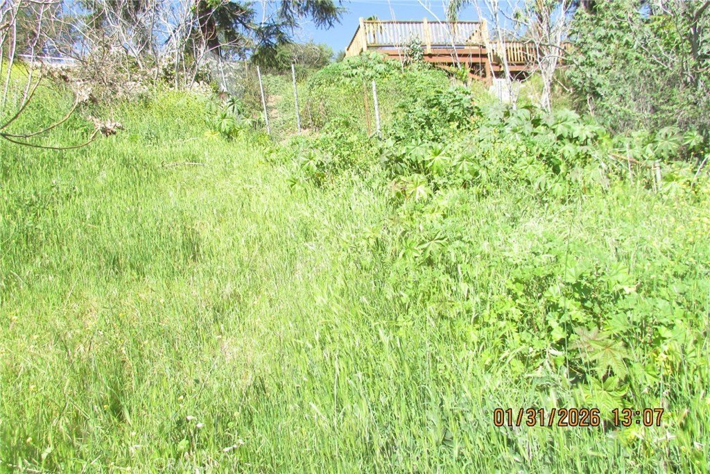 Picture 12