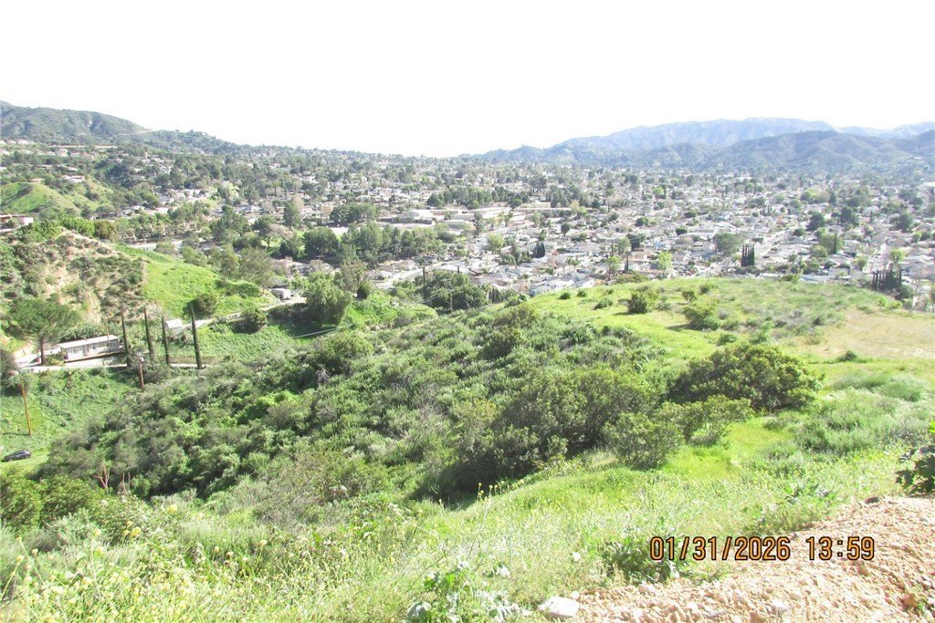 Picture 45