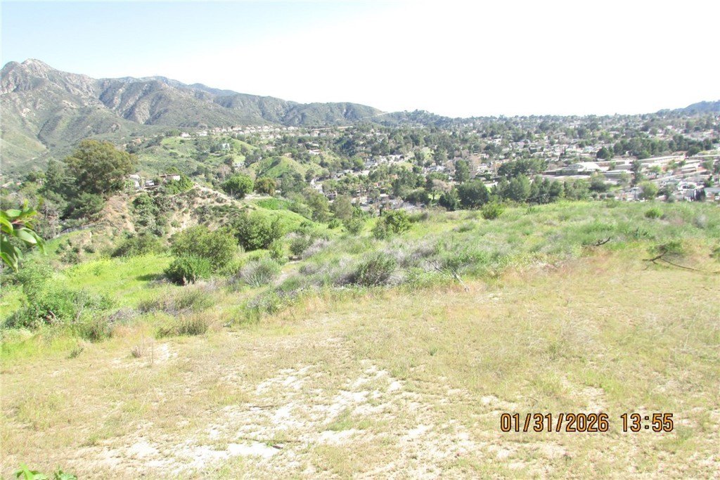 Picture 40