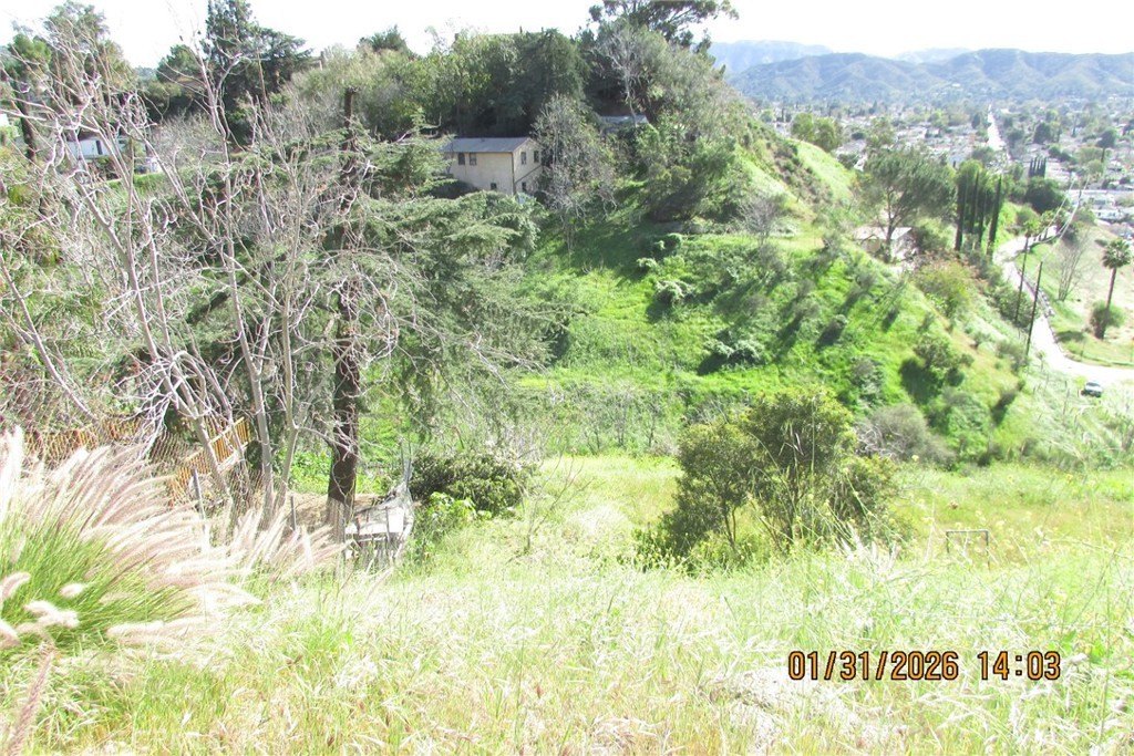 Picture 49