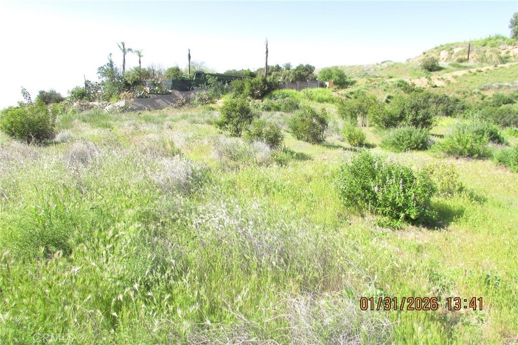 Picture 36