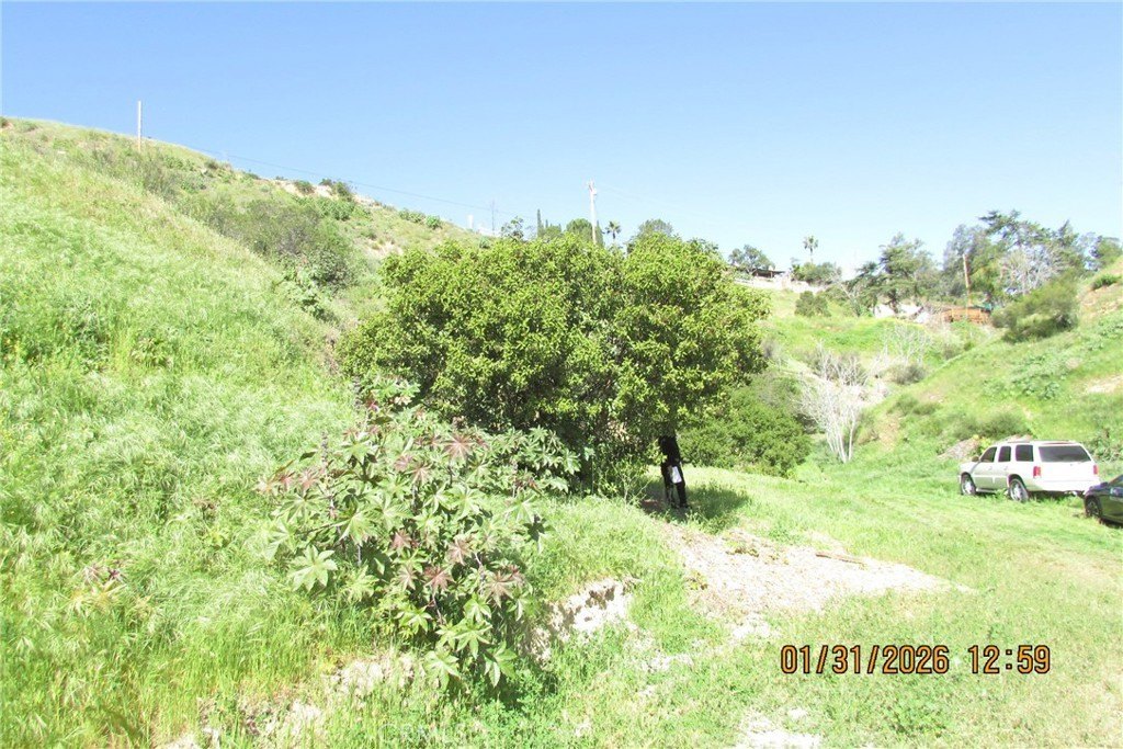 Picture 2