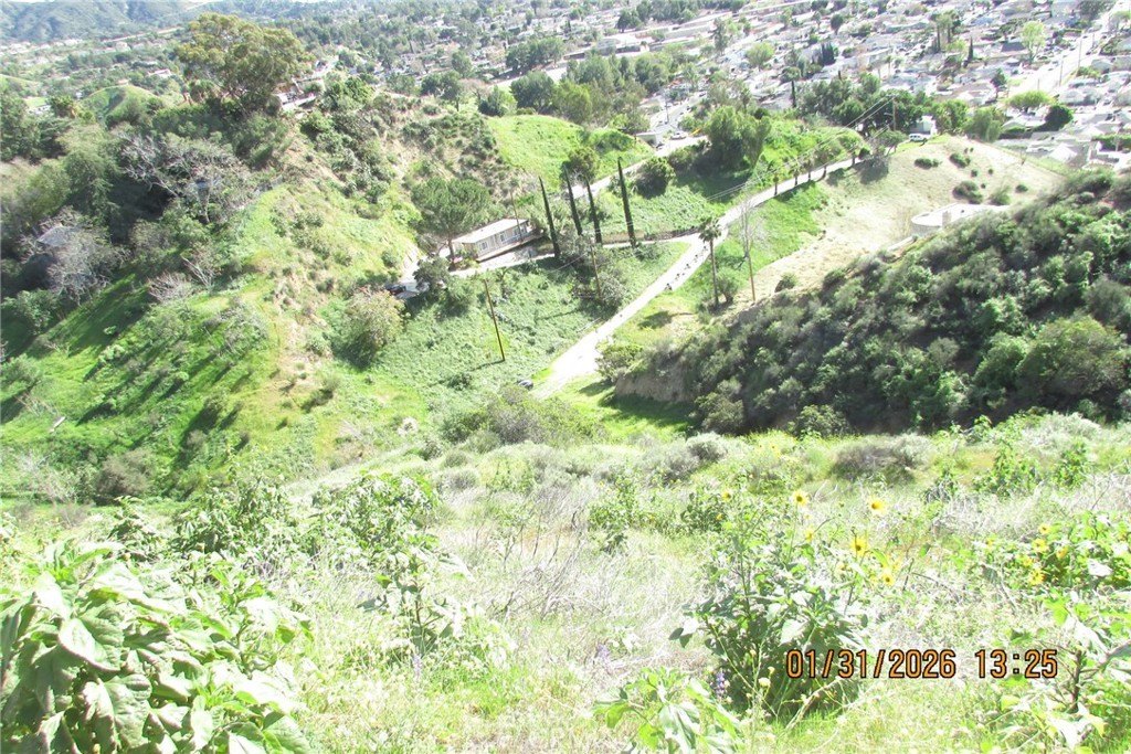 Picture 25