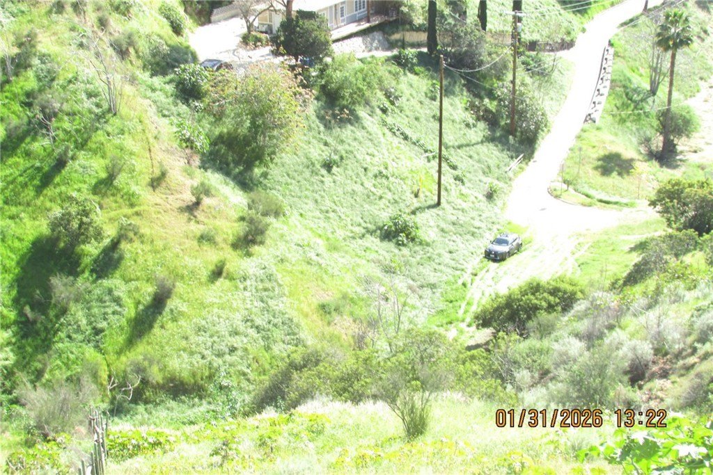 Picture 18