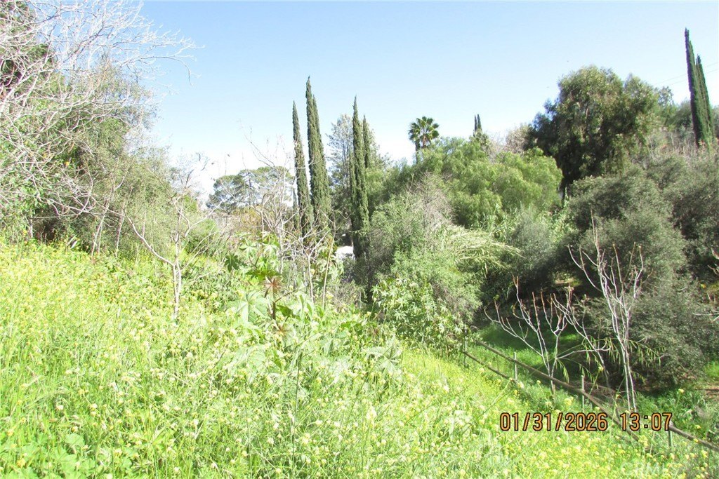 Picture 11