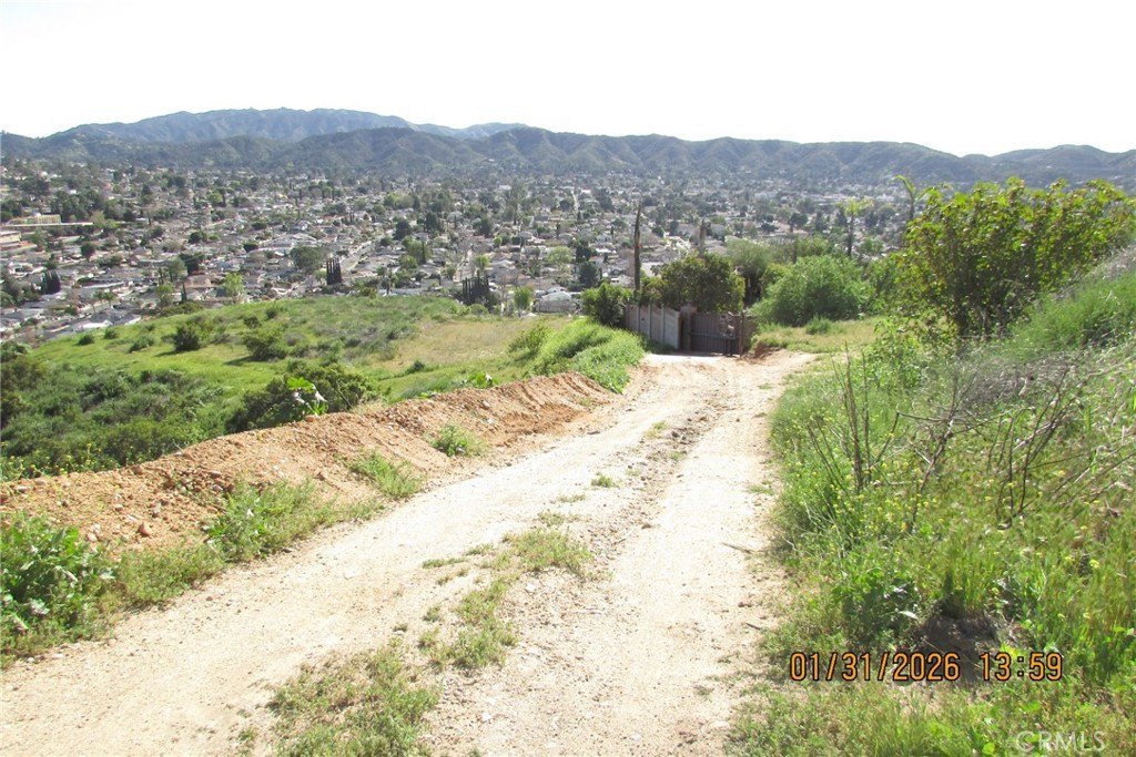 Picture 44