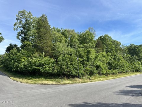 LAND - Kingsport, TN