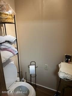 Picture 33
